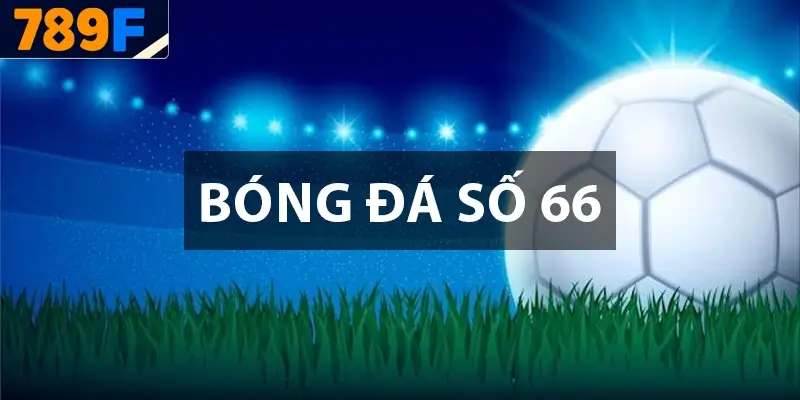 Bóng Đá Số 66 – Giới Thiệu Web Cập Nhật Bóng Đá Nhanh